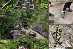 PhotoCollageMaker_20256617506482