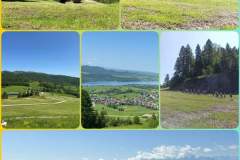 PhotoCollageMaker_202566175635957