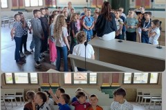 PhotoCollageMaker_2025429194659400