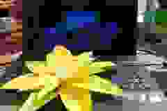 1000025283